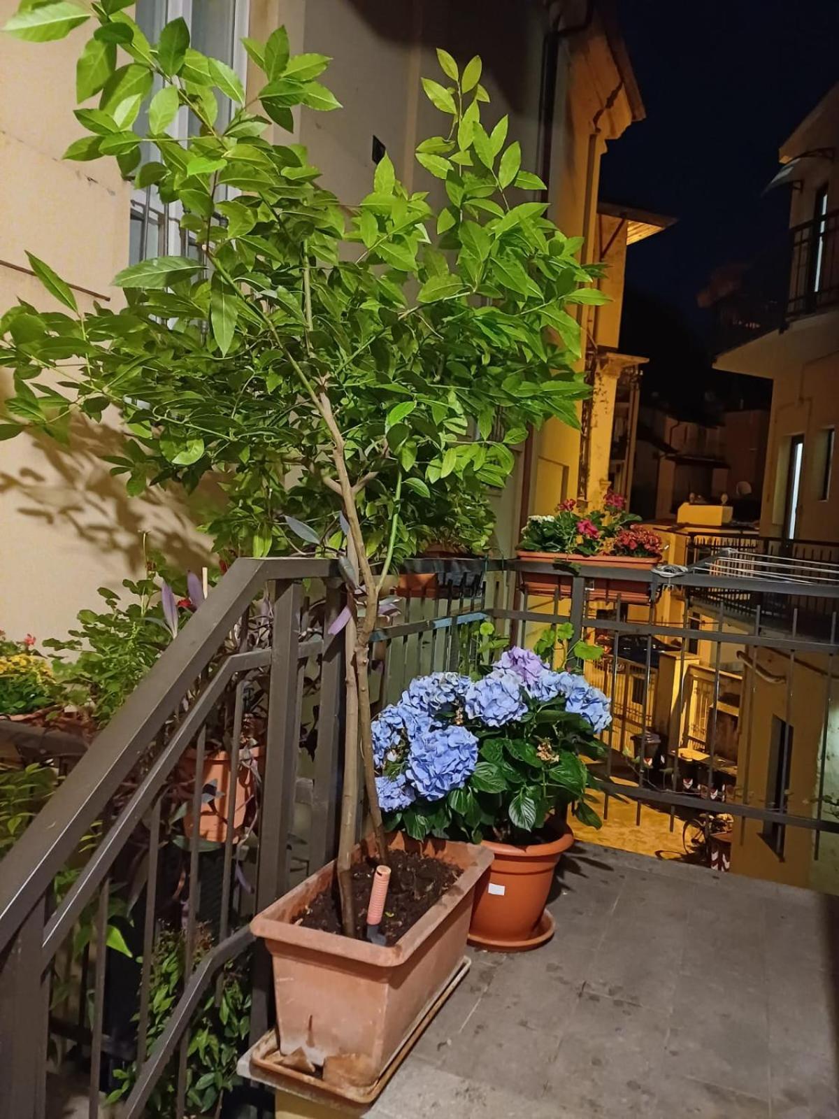 La Terrazzina, Silenzioso, Zona Piazza Gran Madre Apartment Торино Екстериор снимка